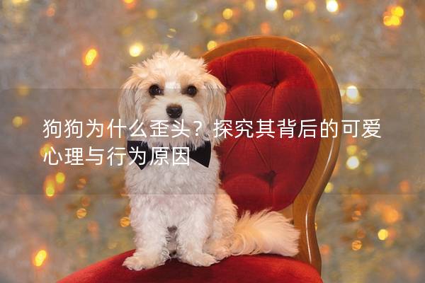 狗狗为什么歪头？探究其背后的可爱心理与行为原因