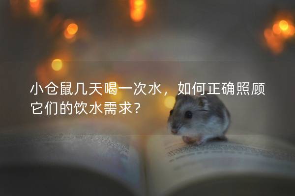 小仓鼠几天喝一次水，如何正确照顾它们的饮水需求？