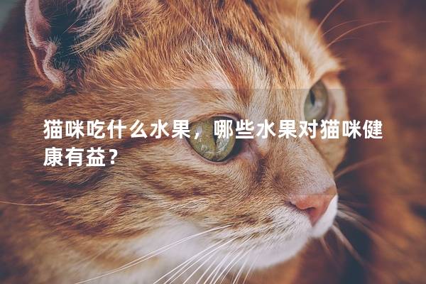 猫咪吃什么水果，哪些水果对猫咪健康有益？