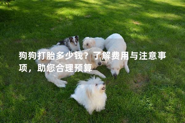狗狗打胎多少钱？了解费用与注意事项，助您合理预算