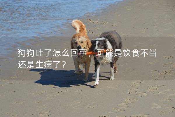 狗狗吐了怎么回事，可能是饮食不当还是生病了？