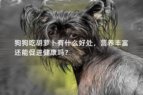 狗狗吃胡萝卜有什么好处，营养丰富还能促进健康吗？