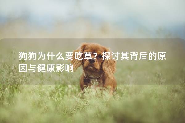 狗狗为什么要吃草？探讨其背后的原因与健康影响