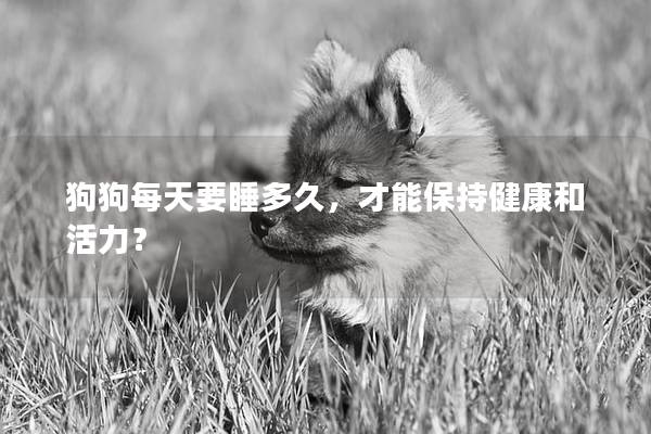 狗狗每天要睡多久，才能保持健康和活力？