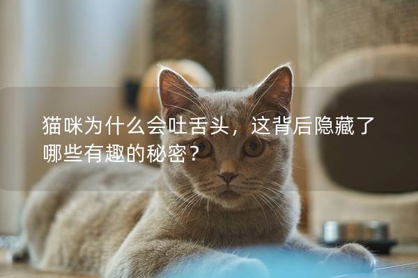 猫咪为什么会吐舌头，这背后隐藏了哪些有趣的秘密？