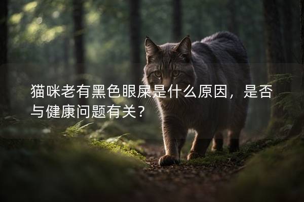 猫咪老有黑色眼屎是什么原因，是否与健康问题有关？