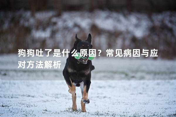 狗狗吐了是什么原因？常见病因与应对方法解析