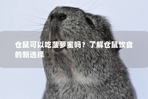 仓鼠可以吃菠萝蜜吗？了解仓鼠饮食的新选择
