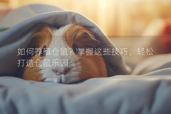 如何养殖仓鼠?掌握这些技巧,轻松打造仓鼠乐园 如何养殖仓鼠?掌握这些技巧,轻松打造仓鼠乐园