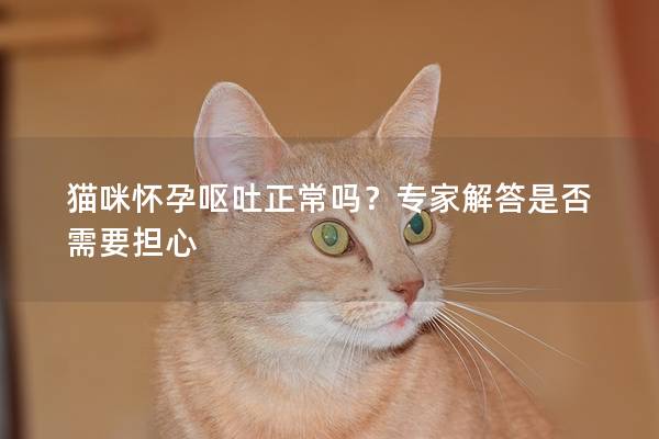猫咪怀孕呕吐正常吗？专家解答是否需要担心