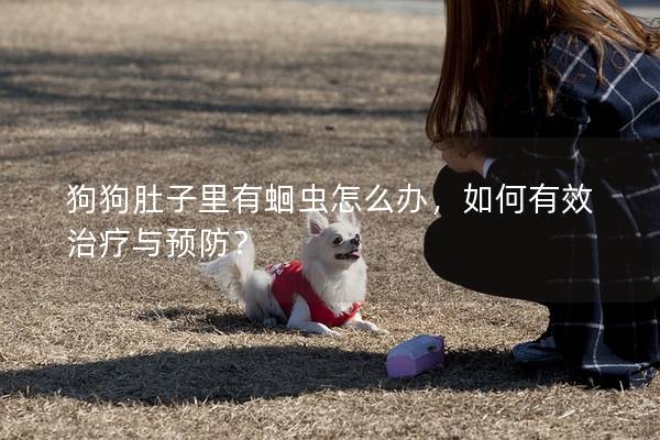 狗狗肚子里有蛔虫怎么办，如何有效治疗与预防？