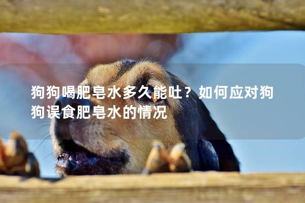 狗狗喝肥皂水多久能吐？如何应对狗狗误食肥皂水的情况