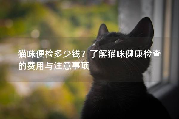 猫咪便检多少钱？了解猫咪健康检查的费用与注意事项