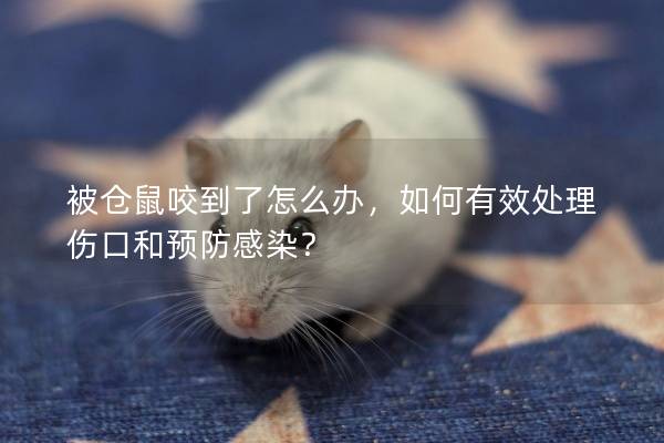 被仓鼠咬到了怎么办，如何有效处理伤口和预防感染？