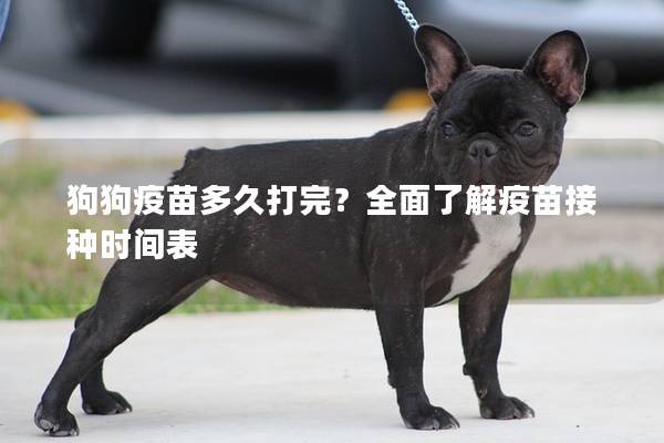 狗狗疫苗多久打完?全面了解疫苗接种时间表 狗狗疫苗多久打完?全面了解疫苗接种时间表