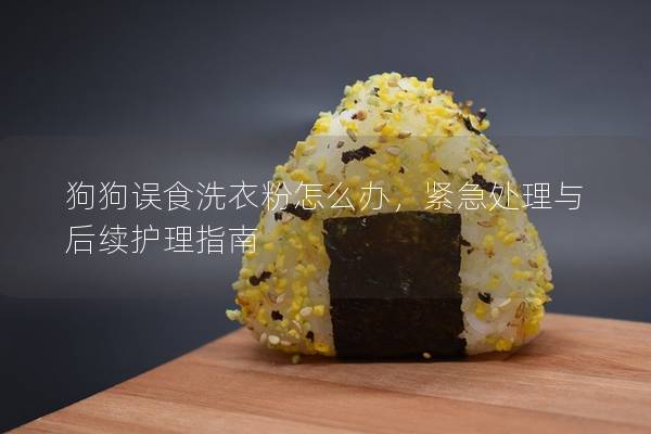 狗狗误食洗衣粉怎么办，紧急处理与后续护理指南