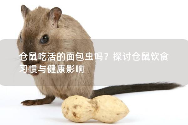仓鼠吃活的面包虫吗?探讨仓鼠饮食习惯与健康影响 仓鼠吃活的面包虫吗?探讨仓鼠饮食习惯与健康影响