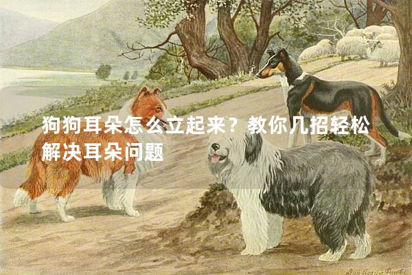 狗狗耳朵怎么立起来?教你几招轻松解决耳朵问题 狗狗耳朵怎么立起来?教你几招轻松解决耳朵问题