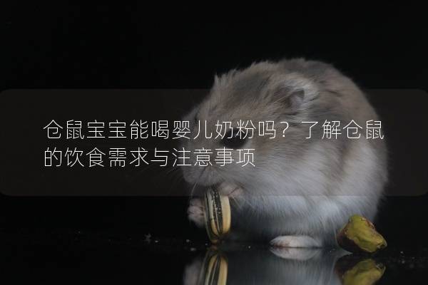 仓鼠宝宝能喝婴儿奶粉吗？了解仓鼠的饮食需求与注意事项