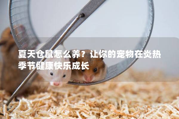 夏天仓鼠怎么养?让你的宠物在炎热季节健康快乐成长 夏天仓鼠怎么养?让你的宠物在炎热季节健康快乐成长