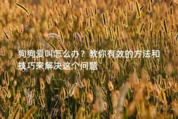 狗狗爱叫怎么办？教你有效的方法和技巧来解决这个问题