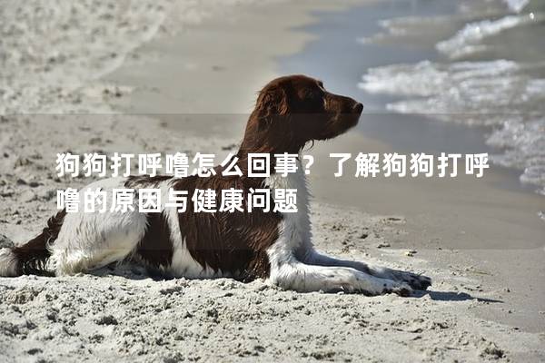 狗狗打呼噜怎么回事?了解狗狗打呼噜的原因与健康问题 狗狗打呼噜怎么回事?了解狗狗打呼噜的原因与健康问题