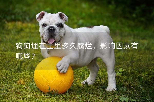 狗狗埋在土里多久腐烂，影响因素有哪些？