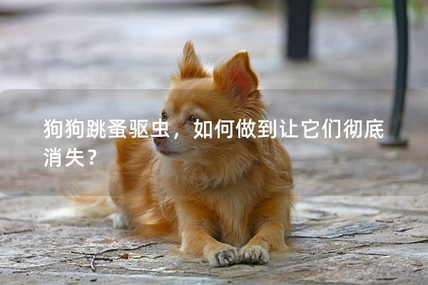 狗狗跳蚤驱虫,如何做到让它们彻底消失? 狗狗跳蚤驱虫,如何做到让它们彻底消失?