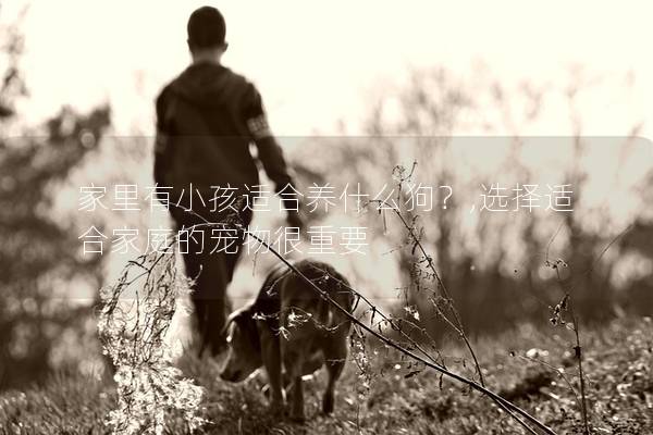 家里有小孩适合养什么狗?,选择适合家庭的宠物很重要 家里有小孩适合养什么狗?,选择适合家庭的宠物很重要