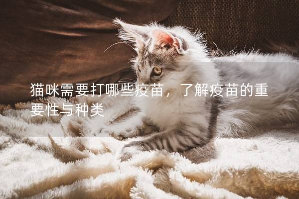 猫咪需要打哪些疫苗，了解疫苗的重要性与种类