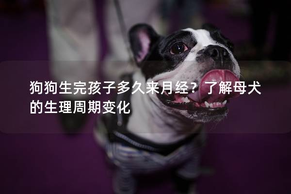 狗狗生完孩子多久来月经？了解母犬的生理周期变化