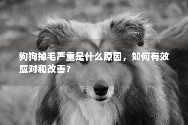 狗狗掉毛严重是什么原因，如何有效应对和改善？