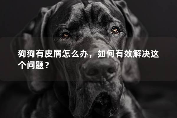 狗狗有皮屑怎么办，如何有效解决这个问题？