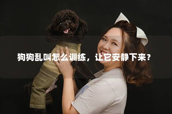 狗狗乱叫怎么训练，让它安静下来？