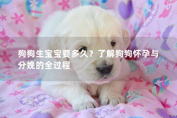 狗狗生宝宝要多久？了解狗狗怀孕与分娩的全过程