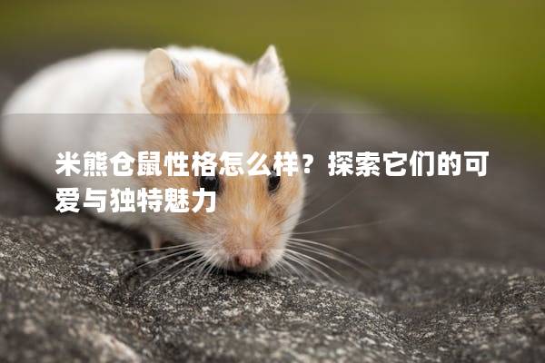 米熊仓鼠性格怎么样？探索它们的可爱与独特魅力