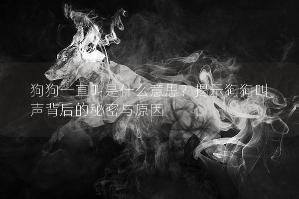 狗狗一直叫是什么意思？揭示狗狗叫声背后的秘密与原因