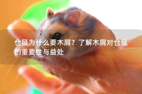仓鼠为什么要木屑？了解木屑对仓鼠的重要性与益处