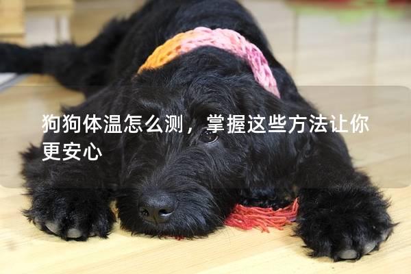 狗狗体温怎么测，掌握这些方法让你更安心