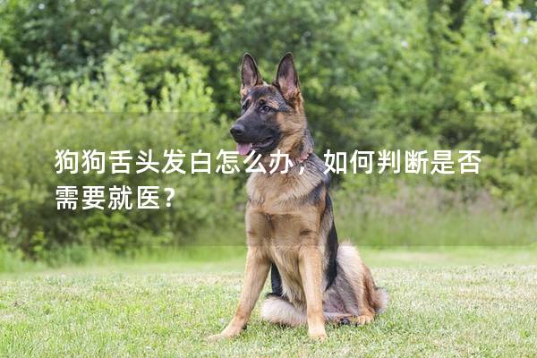 狗狗舌头发白怎么办，如何判断是否需要就医？