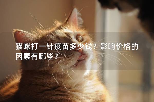 猫咪打一针疫苗多少钱？影响价格的因素有哪些？