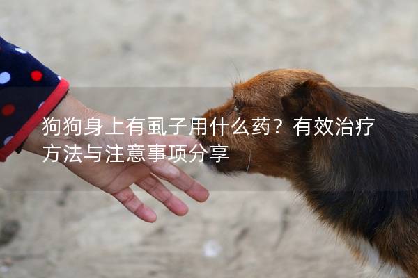 狗狗身上有虱子用什么药？有效治疗方法与注意事项分享