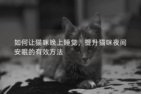 如何让猫咪晚上睡觉，提升猫咪夜间安眠的有效方法