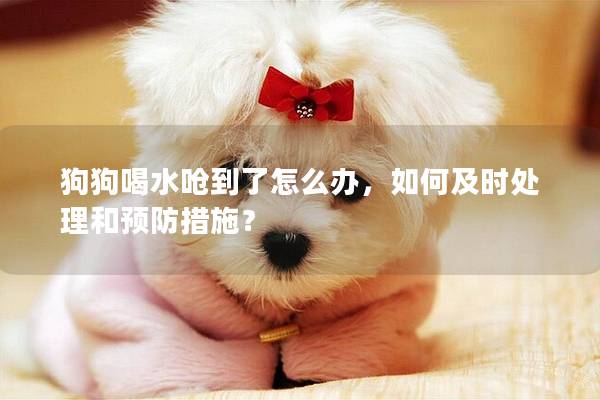 狗狗喝水呛到了怎么办，如何及时处理和预防措施？