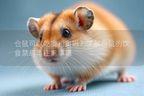仓鼠可以吃奥利奥吗？了解仓鼠的饮食禁忌与注意事项