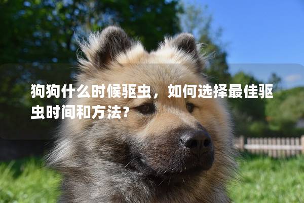 狗狗什么时候驱虫,如何选择最佳驱虫时间和方法? 狗狗什么时候驱虫,如何选择最佳驱虫时间和方法?