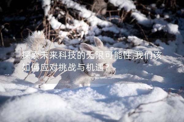 探索未来科技的无限可能性,我们该如何应对挑战与机遇？
