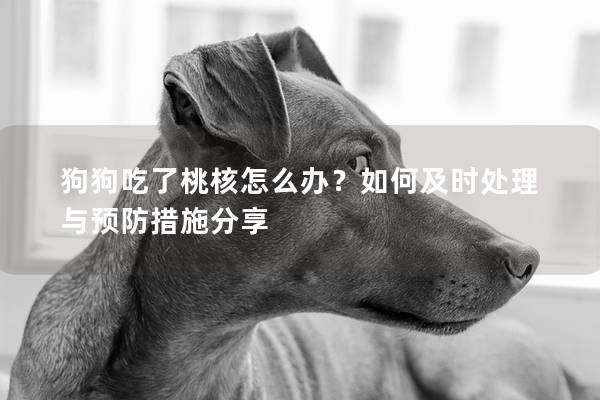 狗狗吃了桃核怎么办？如何及时处理与预防措施分享