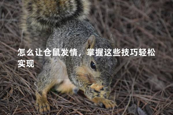 怎么让仓鼠发情,掌握这些技巧轻松实现 怎么让仓鼠发情,掌握这些技巧轻松实现