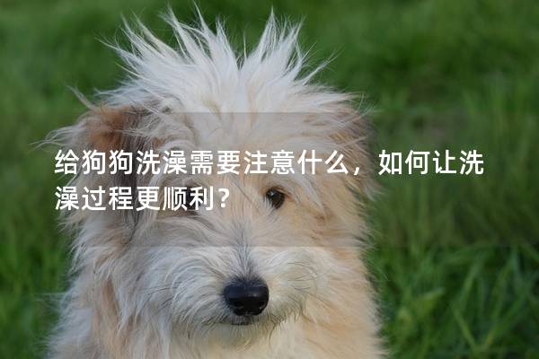 给狗狗洗澡需要注意什么，如何让洗澡过程更顺利？
